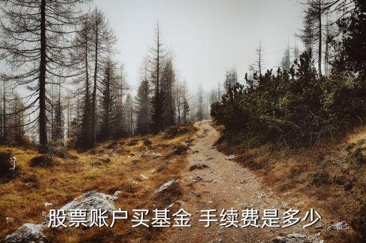 申購股票手續(xù)費(fèi),申購手續(xù)費(fèi)的計算公式