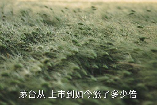 貴州茅臺酒股份有限公司上市時(shí)間