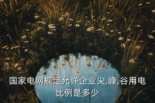 國(guó)家電網(wǎng)規(guī)定允許企業(yè)尖,峰,谷用電比例是多少