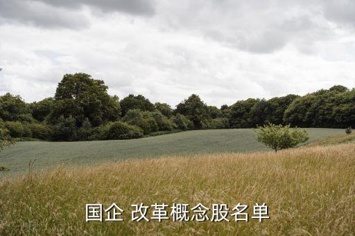 國(guó)企 改革概念股名單