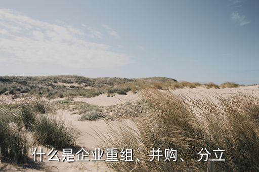 什么是企業(yè)重組、并購、 分立
