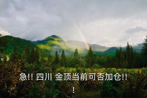 急!! 四川 金頂當(dāng)前可否加倉(cāng)!!!