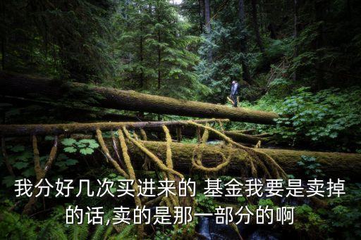我分好幾次買(mǎi)進(jìn)來(lái)的 基金我要是賣(mài)掉的話,賣(mài)的是那一部分的啊