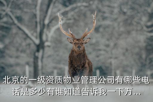 北京的一級(jí)資質(zhì)物業(yè)管理公司有哪些電話是多少有誰知道告訴我一下萬...