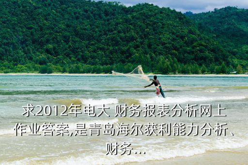 求2012年電大 財(cái)務(wù)報(bào)表分析網(wǎng)上作業(yè)答案,是青島海爾獲利能力分析、 財(cái)務(wù)...