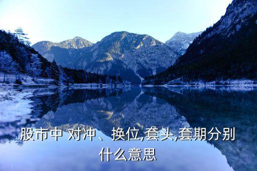 股市中 對(duì)沖、換位,套頭,套期分別什么意思