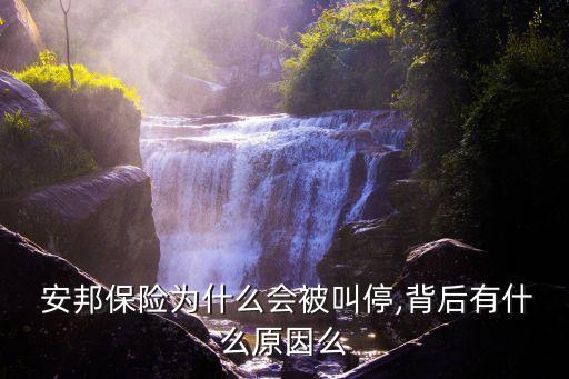  安邦保險(xiǎn)為什么會被叫停,背后有什么原因么