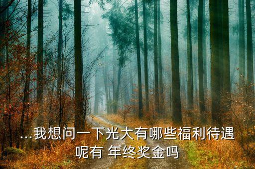 ...我想問(wèn)一下光大有哪些福利待遇呢有 年終獎(jiǎng)金嗎