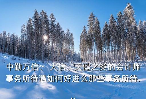 中勤萬信、 大信、天健之類的會計師事務(wù)所待遇如何好進么那些事務(wù)所待...