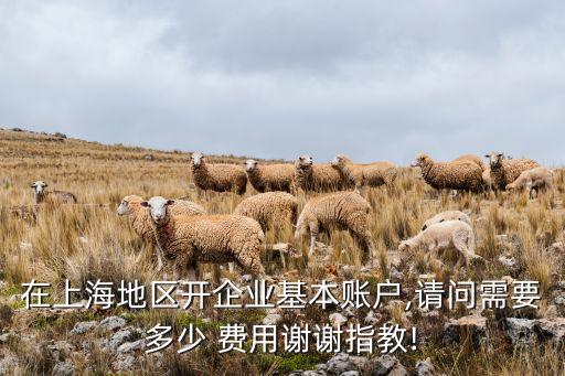 在上海地區(qū)開企業(yè)基本賬戶,請問需要多少 費(fèi)用謝謝指教!
