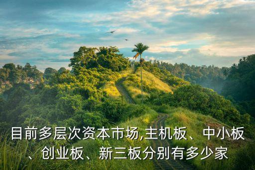 目前多層次資本市場(chǎng),主機(jī)板、中小板、創(chuàng)業(yè)板、新三板分別有多少家