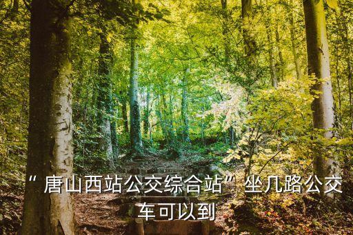 “ 唐山西站公交綜合站”坐幾路公交車(chē)可以到