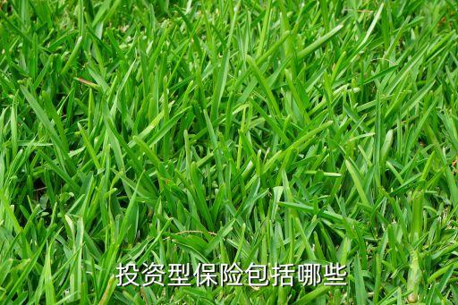 投資類(lèi)保險(xiǎn),投資型保險(xiǎn)產(chǎn)品的功能主要包括哪些