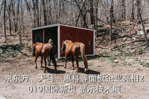 京東方、天馬、惠科等面板企業(yè)亮相2019國(guó)際新型 顯示技術(shù)展