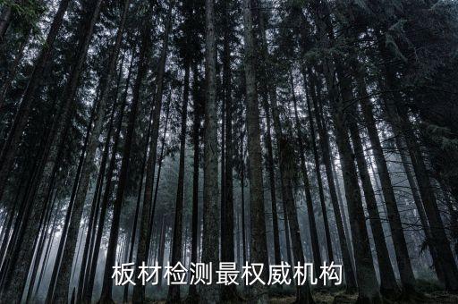 中國建材檢驗(yàn)認(rèn)證集團(tuán)股份有限公司上市