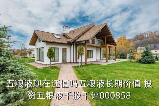 五糧液現(xiàn)在還值嗎五糧液長期價(jià)值 投資五糧液千股千評(píng)000858