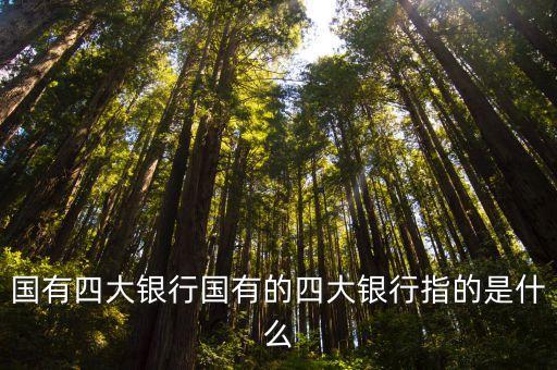 國有四大銀行國有的四大銀行指的是什么