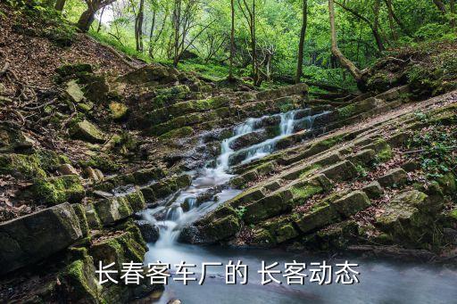 長客股份公司領(lǐng)導班子,中車長客股份公司