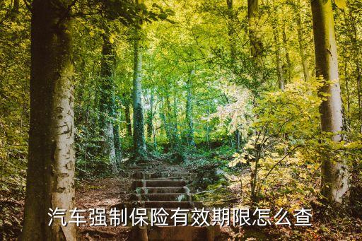 汽車強制保險有效期限怎么查