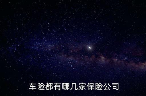 2013年中國(guó)車(chē)險(xiǎn)市場(chǎng)