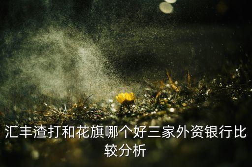 花旗銀行零售業(yè)務