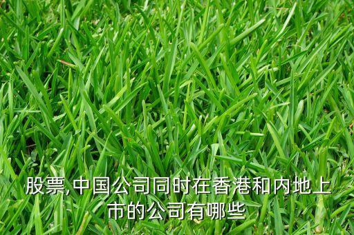  股票,中國公司同時在香港和內地上市的公司有哪些