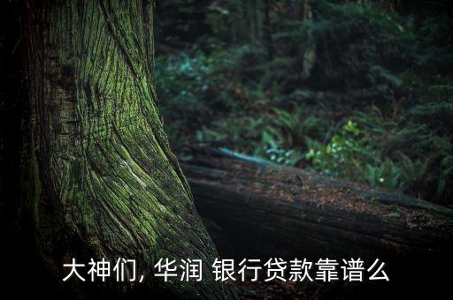 珠海華潤銀行網(wǎng)上銀行,華潤銀行個(gè)人網(wǎng)上銀行app