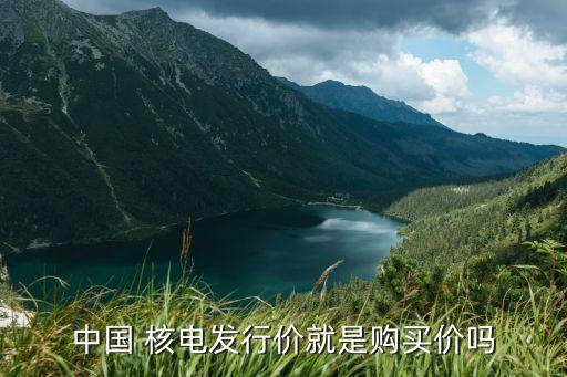 中國(guó) 核電發(fā)行價(jià)就是購(gòu)買價(jià)嗎