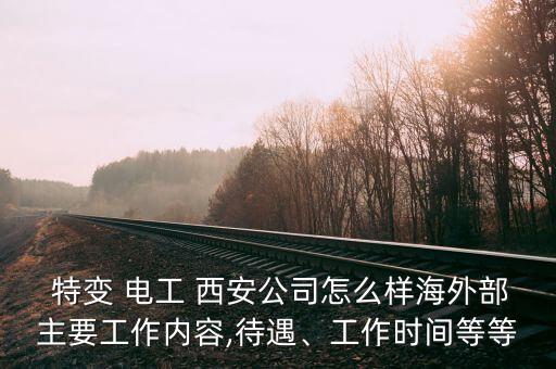  特變 電工 西安公司怎么樣海外部主要工作內(nèi)容,待遇、工作時間等等