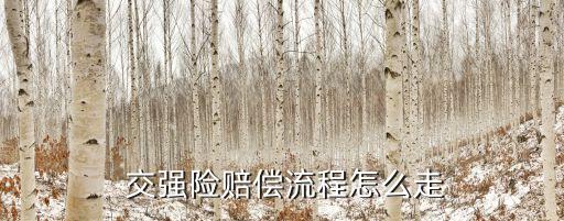  交強險賠償流程怎么走