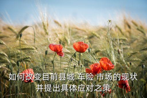 如何改變目前縣城 車險 市場的現狀并提出具體應對之策