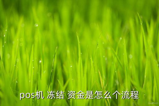 pos機(jī) 凍結(jié) 資金是怎么個流程