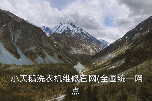 東方世紀(jì)小天鵝電器有限公司,無(wú)錫小天鵝電器有限公司待遇怎么樣