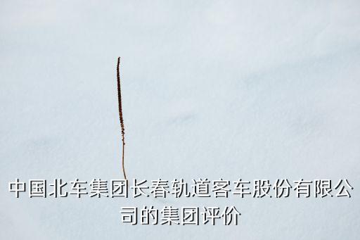 中國(guó)北車(chē)集團(tuán)長(zhǎng)春軌道客車(chē)股份有限公司的集團(tuán)評(píng)價(jià)