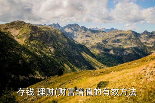 存錢(qián) 理財(cái)(財(cái)富增值的有效方法