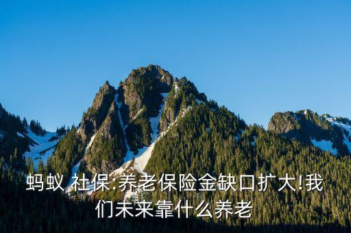 社?；痣p軌制