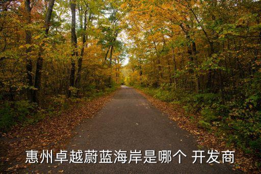 惠州卓越蔚藍(lán)海岸是哪個(gè) 開發(fā)商