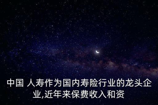 中國(guó)人壽2015年凈利潤(rùn)