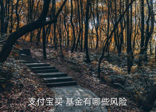 支付寶買 基金有哪些風險