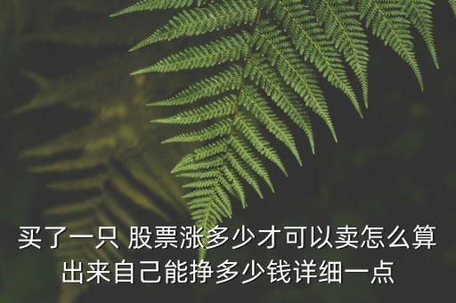 買(mǎi)了一只 股票漲多少才可以賣(mài)怎么算出來(lái)自己能掙多少錢(qián)詳細(xì)一點(diǎn)