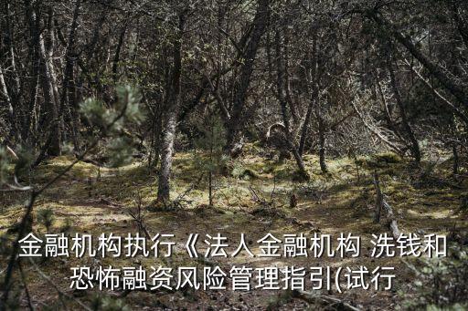 金融機構執(zhí)行《法人金融機構 洗錢和恐怖融資風險管理指引(試行