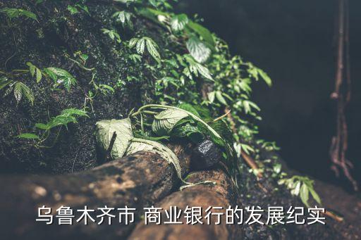 烏魯木齊市 商業(yè)銀行的發(fā)展紀實