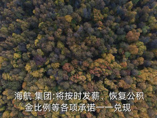  海航 集團(tuán):將按時發(fā)薪、恢復(fù)公積金比例等各項(xiàng)承諾一一兌現(xiàn)