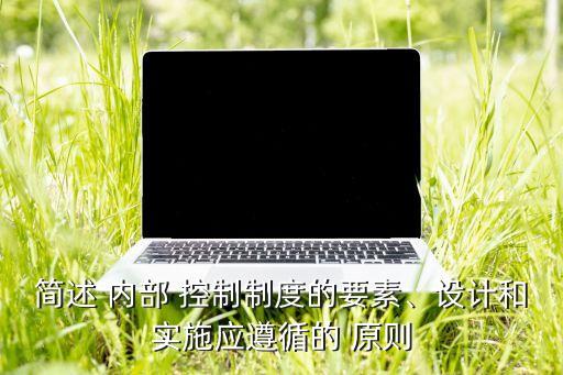簡述 內(nèi)部 控制制度的要素、設(shè)計和實施應(yīng)遵循的 原則
