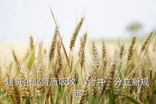 建筑企業(yè)資質(zhì)吸收、 合并、分立新規(guī)定