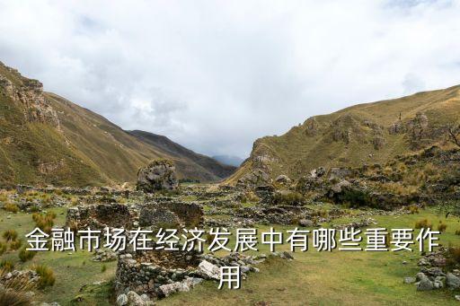  金融市場在經(jīng)濟(jì)發(fā)展中有哪些重要作用