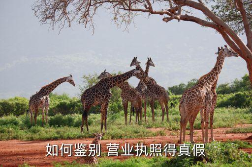 如何鑒別 營(yíng)業(yè)執(zhí)照得真假