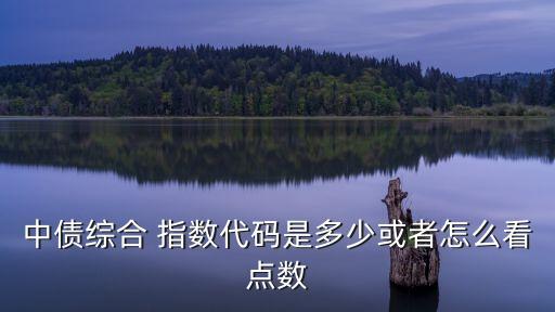 中債綜合 指數代碼是多少或者怎么看點數