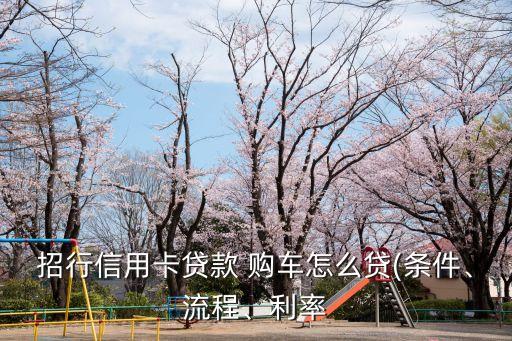 招行信用卡貸款 購車怎么貸(條件、流程、利率