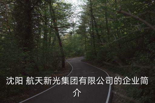 沈陽 航天新光集團(tuán)有限公司的企業(yè)簡介